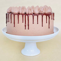 Chocolate Party Cake